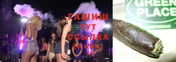 ECSTASY Алзамай