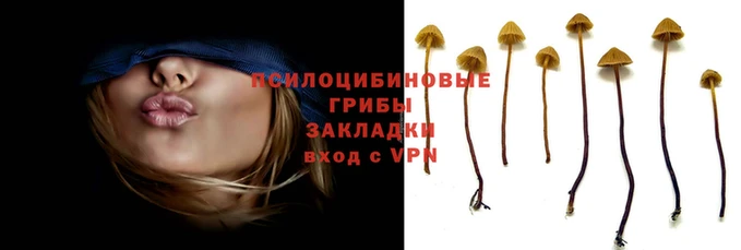 PSILOCYBIN Алексин