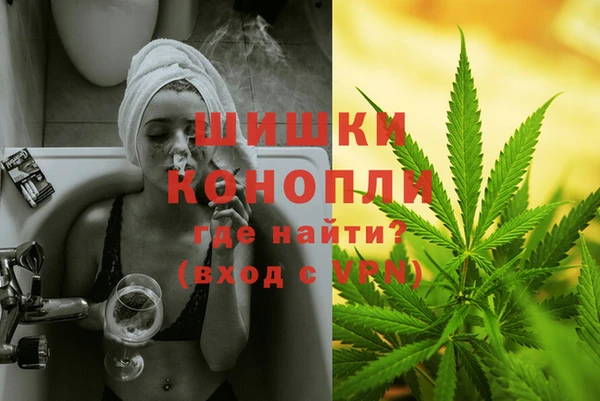 PSILOCYBIN Алексин