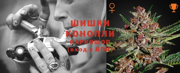 PSILOCYBIN Алексин