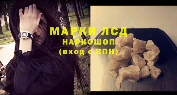 ECSTASY Алзамай