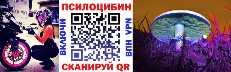 купить наркотики цена Кремёнки Галлюциногенные грибы ЛСД